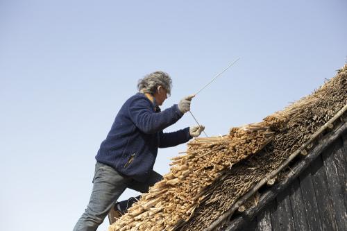 Iconographie - Chaumier travaillant à la réfection de la toiture d'une salorge