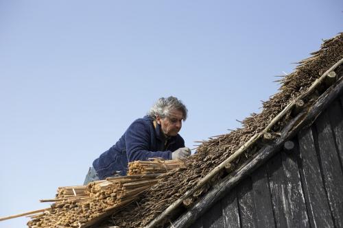 Iconographie - Chaumier travaillant à la réfection de la toiture d'une salorge