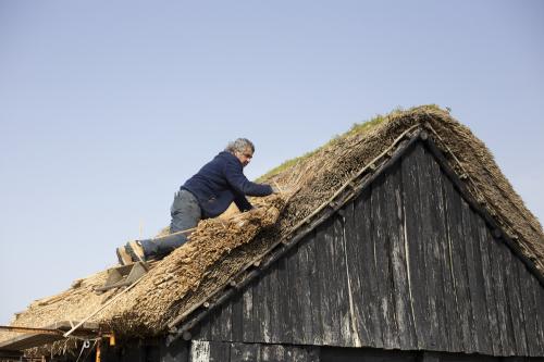 Iconographie - Chaumier travaillant à la réfection de la toiture d'une salorge