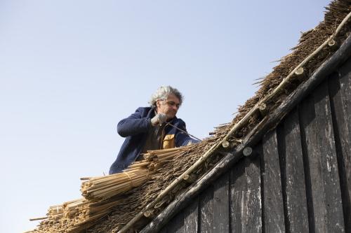 Iconographie - Chaumier travaillant à la réfection de la toiture d'une salorge