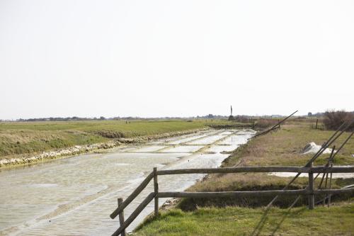 Iconographie - Marais salant au Daviaud