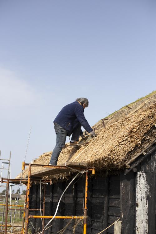 Iconographie - Chaumier travaillant à la réfection de la toiture d'une salorge