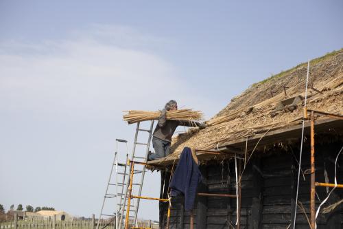 Iconographie - Chaumier travaillant à la réfection de la toiture d'une salorge