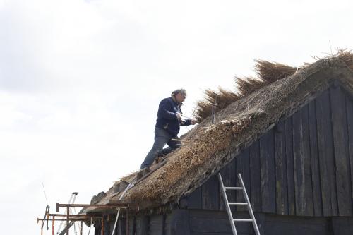 Iconographie - Travail de repiquage sur une toiture de salorge par un chaumier 