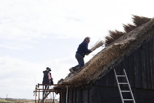 Iconographie - Reportage vidéo sur un chaumier au travail d'une réfection de salorge