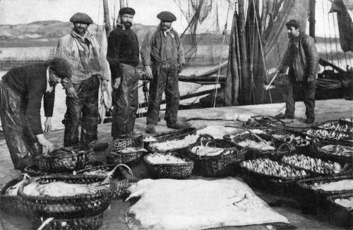 Iconographie - Pêcheurs débarquant leurs poissons pour la vente à la poissonnerie