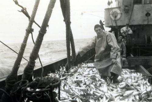 Iconographie - Terre-neuvas sur le pont d'un chalutier harenguier en pêche