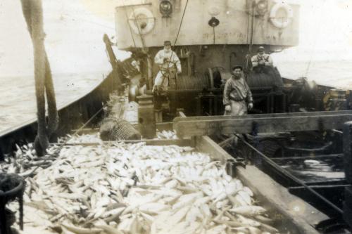 Iconographie - Terre-neuvas sur le pont d'un chalutier en pêche