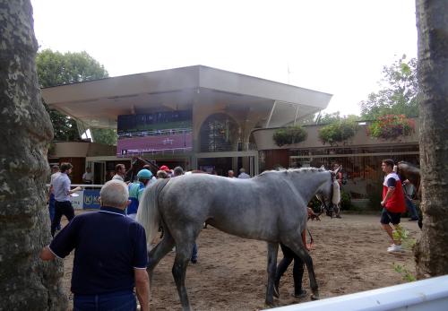 Iconographie - Courses à l'hippodrome