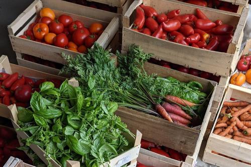 Iconographie - Les légumes pour les purées pour enfants de la marque L'Unique