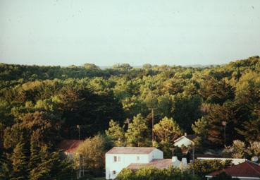 Iconographie - Forêt de Monts