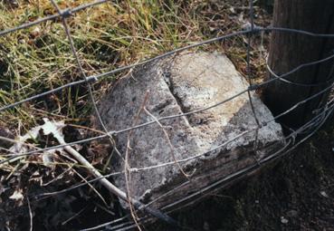 Iconographie - Borne 