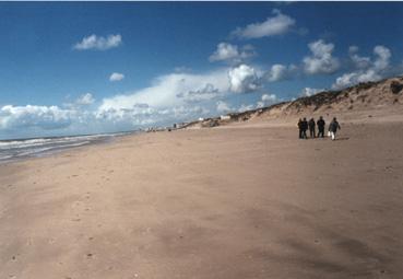 Iconographie - Plage