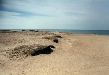 Iconographie - Corniche vendéenne