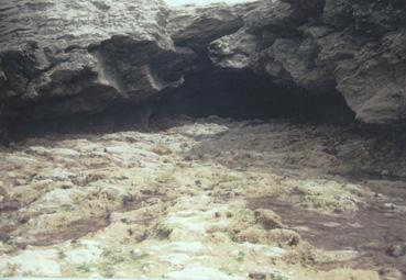 Iconographie - Corniche vendéenne