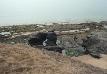 Iconographie - Corniche vendéenne