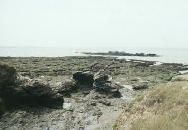 Iconographie - Corniche vendéenne
