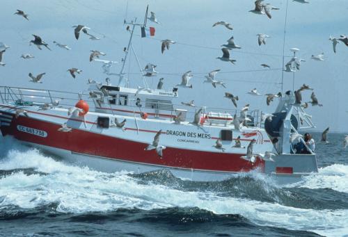 Iconographie - Bateau de pêche Bénéteau (à identifier)