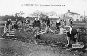 Iconographie - Ensemencement des pommes de terre