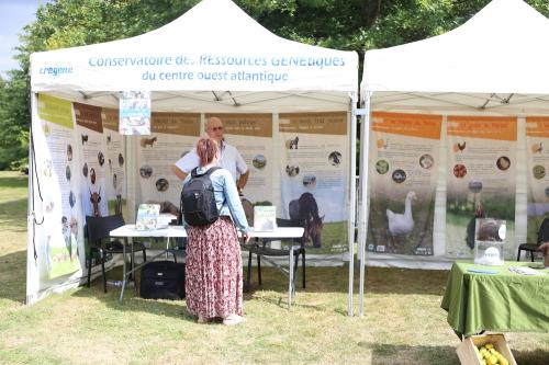 Iconographie - Stand du Conservatoire des Ressources Génétique lors de la Grande Fête