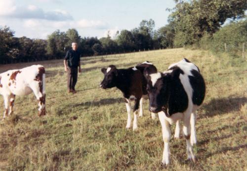 Iconographie - Gardiennage des vaches