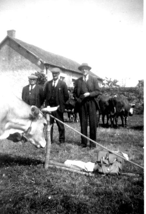 Iconographie - Comices agricoles, Saint-Jean-de-Corcoué