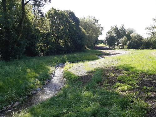 Iconographie - Travaux syndicat Bassin Versant de Grand Lieu