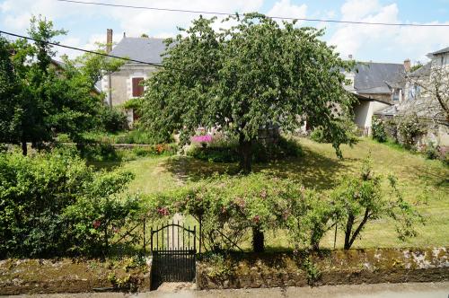 Iconographie - Cerisier dans un jardin