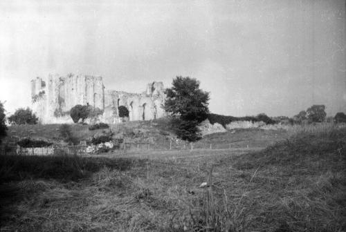 Iconographie - Ruines de l'abbaye de Maillezais