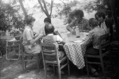 Iconographie - Repas sous l'ombrage dans le Marais poitevin