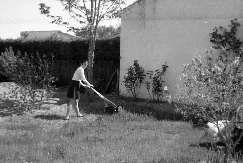 Iconographie - Jeune femme lors de la tonte de la pelouse