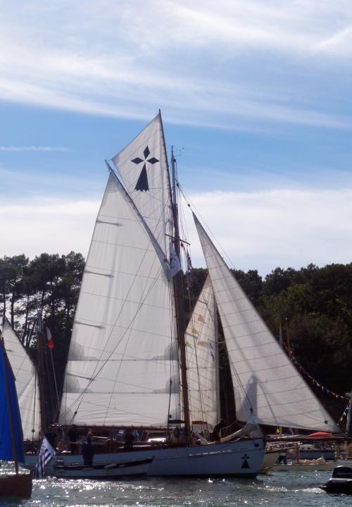 Iconographie - Semaine du Golfe - La Grande Hermine