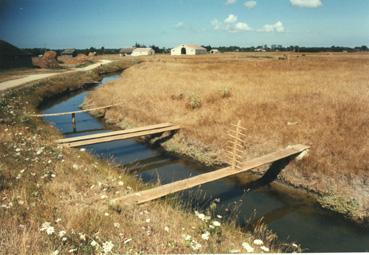 Iconographie - Pont