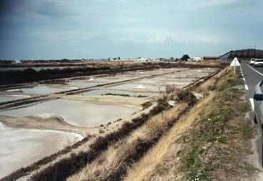 Iconographie - Marais salant