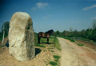 Iconographie - Menhir