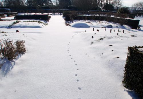 Iconographie - Le plessis du jardin médiéval enneigés