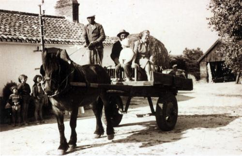 Iconographie - Famille Guilbaud de la Parée du Jonc et des touristes