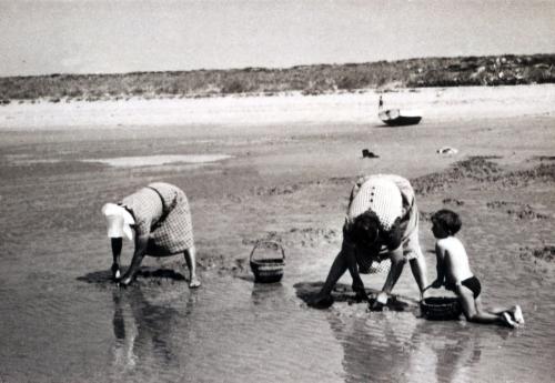 Iconographie - Victorine Guilbaud et Armandine Pouvreau, pêcheuses de pignons