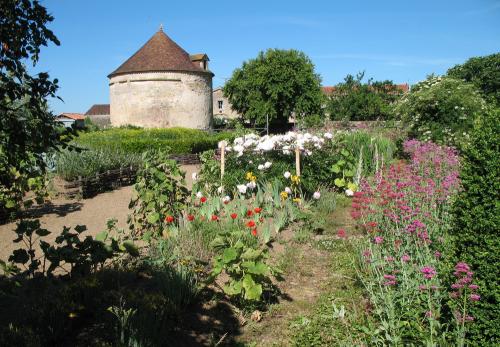 Iconographie - Jardin médiéval - La fuie