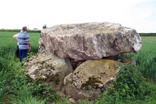 Iconographie - Dolmen de la Vésinière 