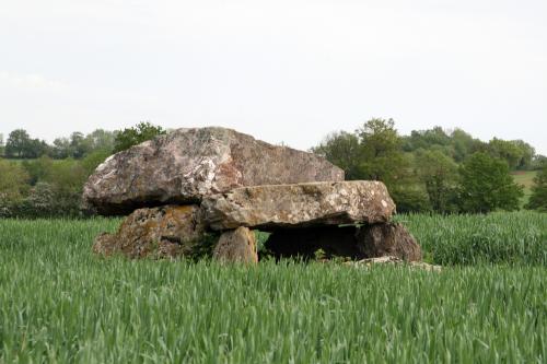 Iconographie - Dolmen de la Vésinière 