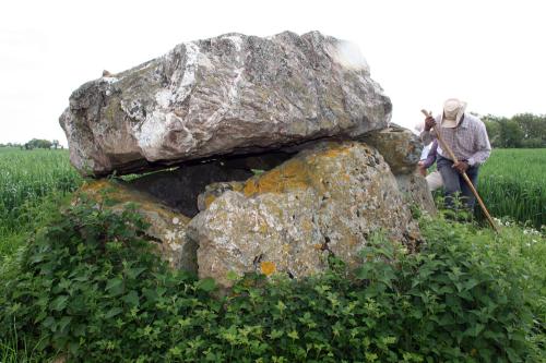 Iconographie - Dolmen de la Vésinière 