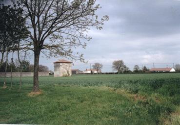 Iconographie - Colombier