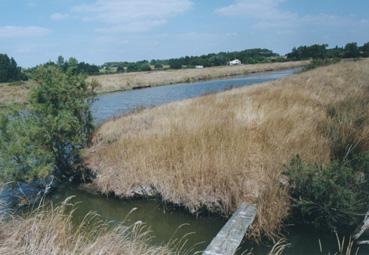 Iconographie - Marais