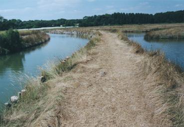 Iconographie - Marais