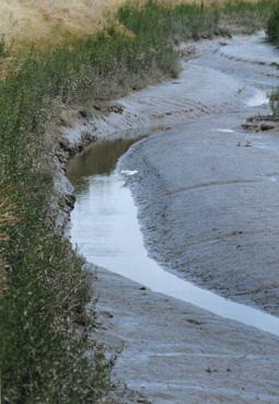 Iconographie - Marais