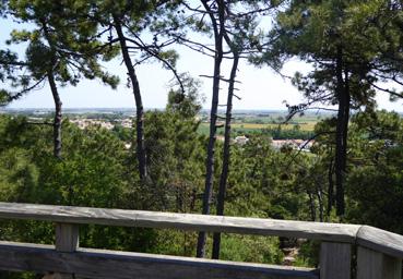 Iconographie - Panorama sur le marais vu du Pey de la Belette