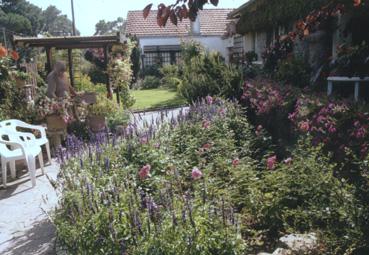 Iconographie - Jardin