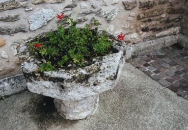 Iconographie - Bénitier