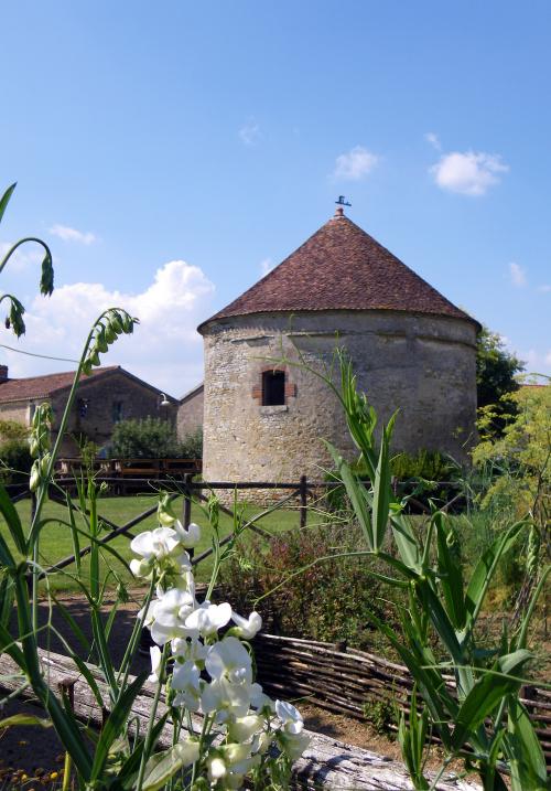 Iconographie - Le jardin médiéval